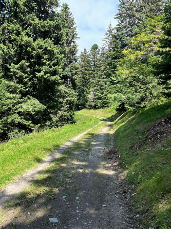 Charmant Appartement Confortable Pour 6 Personnes 40M2 Pied Pistes, Piscine, Wifi, Parking Chamrousse Exteriér fotografie