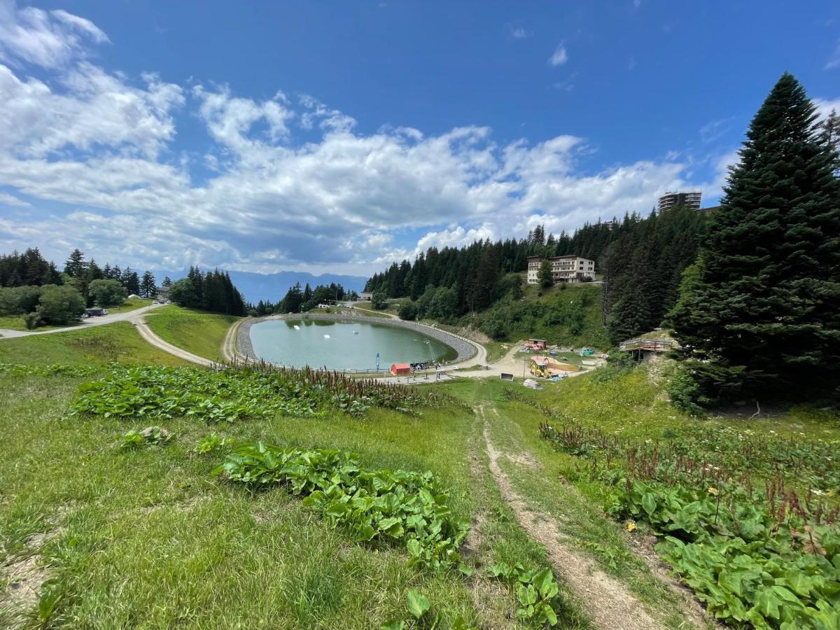 Charmant Appartement Confortable Pour 6 Personnes 40M2 Pied Pistes, Piscine, Wifi, Parking Chamrousse Exteriér fotografie