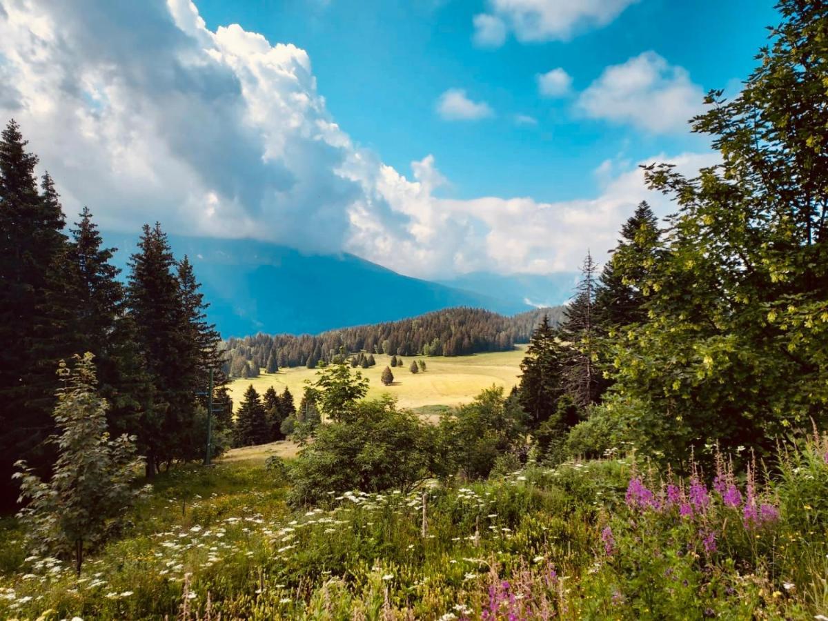 Charmant Appartement Confortable Pour 6 Personnes 40M2 Pied Pistes, Piscine, Wifi, Parking Chamrousse Exteriér fotografie
