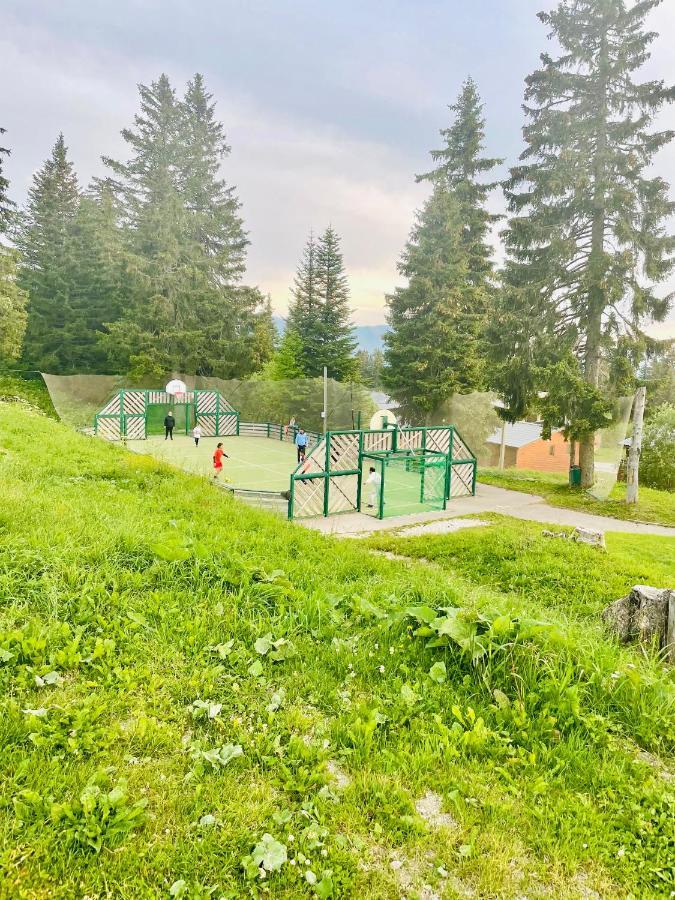 Charmant Appartement Confortable Pour 6 Personnes 40M2 Pied Pistes, Piscine, Wifi, Parking Chamrousse Exteriér fotografie