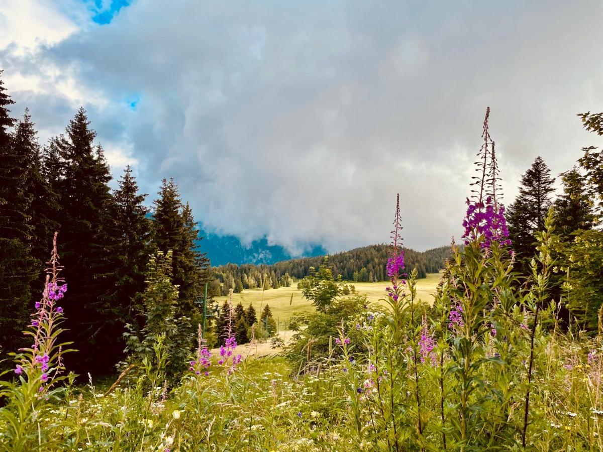 Charmant Appartement Confortable Pour 6 Personnes 40M2 Pied Pistes, Piscine, Wifi, Parking Chamrousse Exteriér fotografie